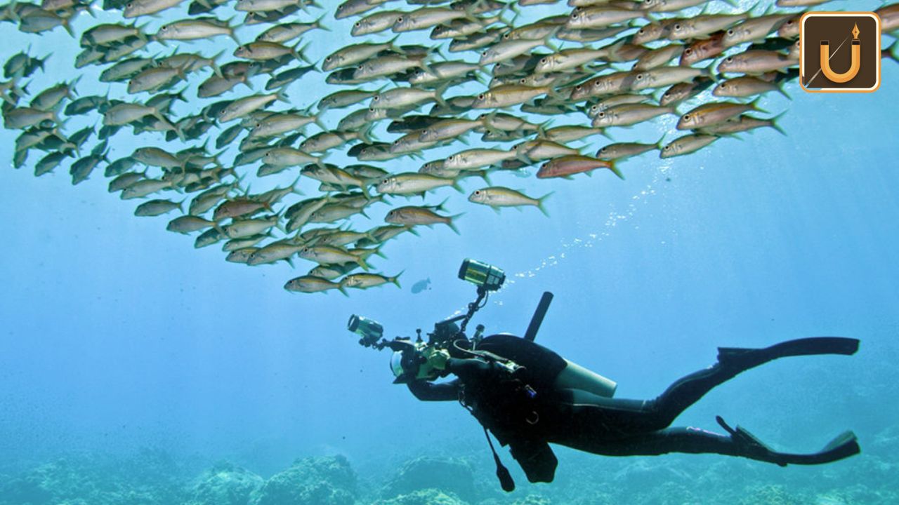 Usthadian Academy / Alex Dawson Captures The Underwater Photographer Of The Year 2024 Award | 22 feb 2024 Usthadian Academy / Alex Dawson Captures The Underwater Photographer Of The Year 2024 Award